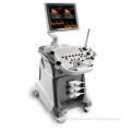 Super Quality and Competitive Price Maneuverable 3D & 4D Color Doppler Ispark 480plus with Ce